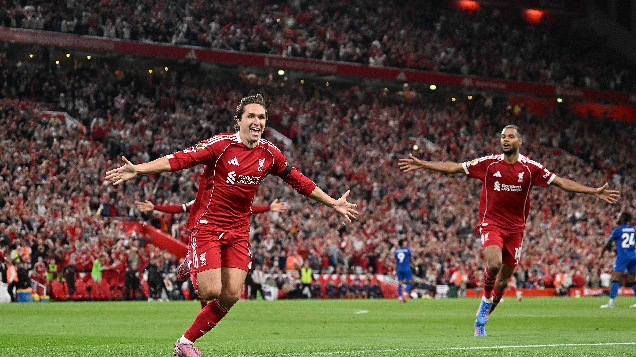 的高度认可 的高度认可