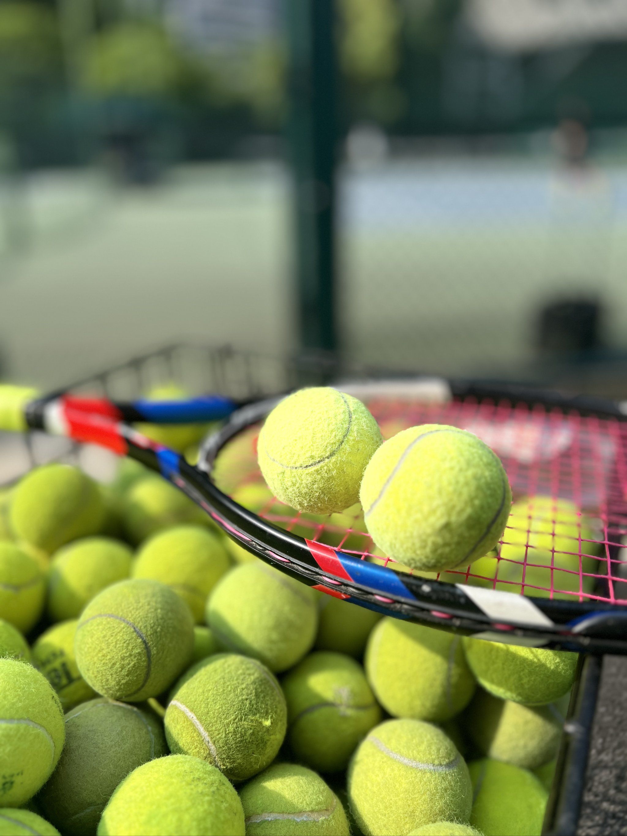 可在不牺牲 可在不牺牲